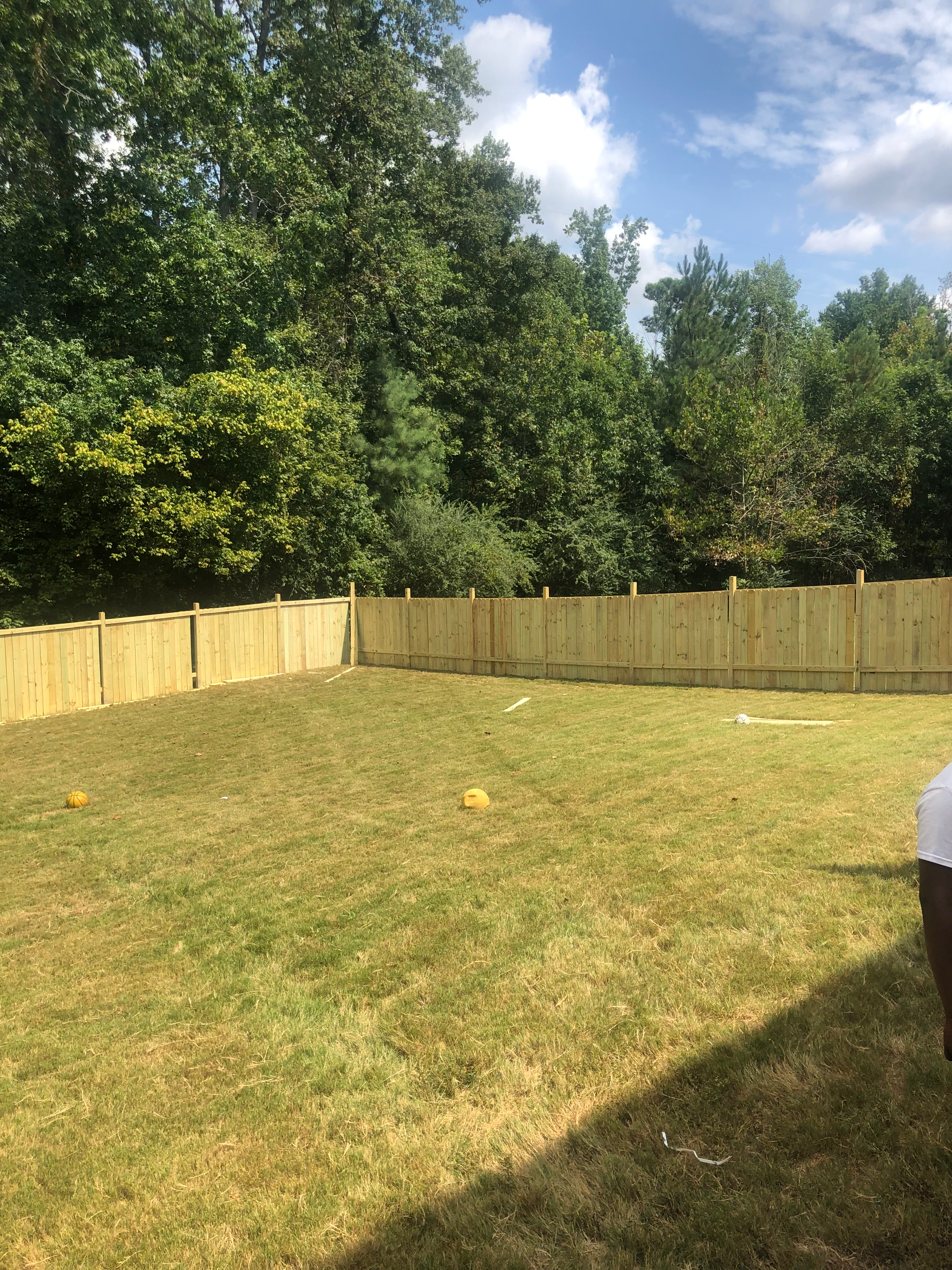 Fence 6