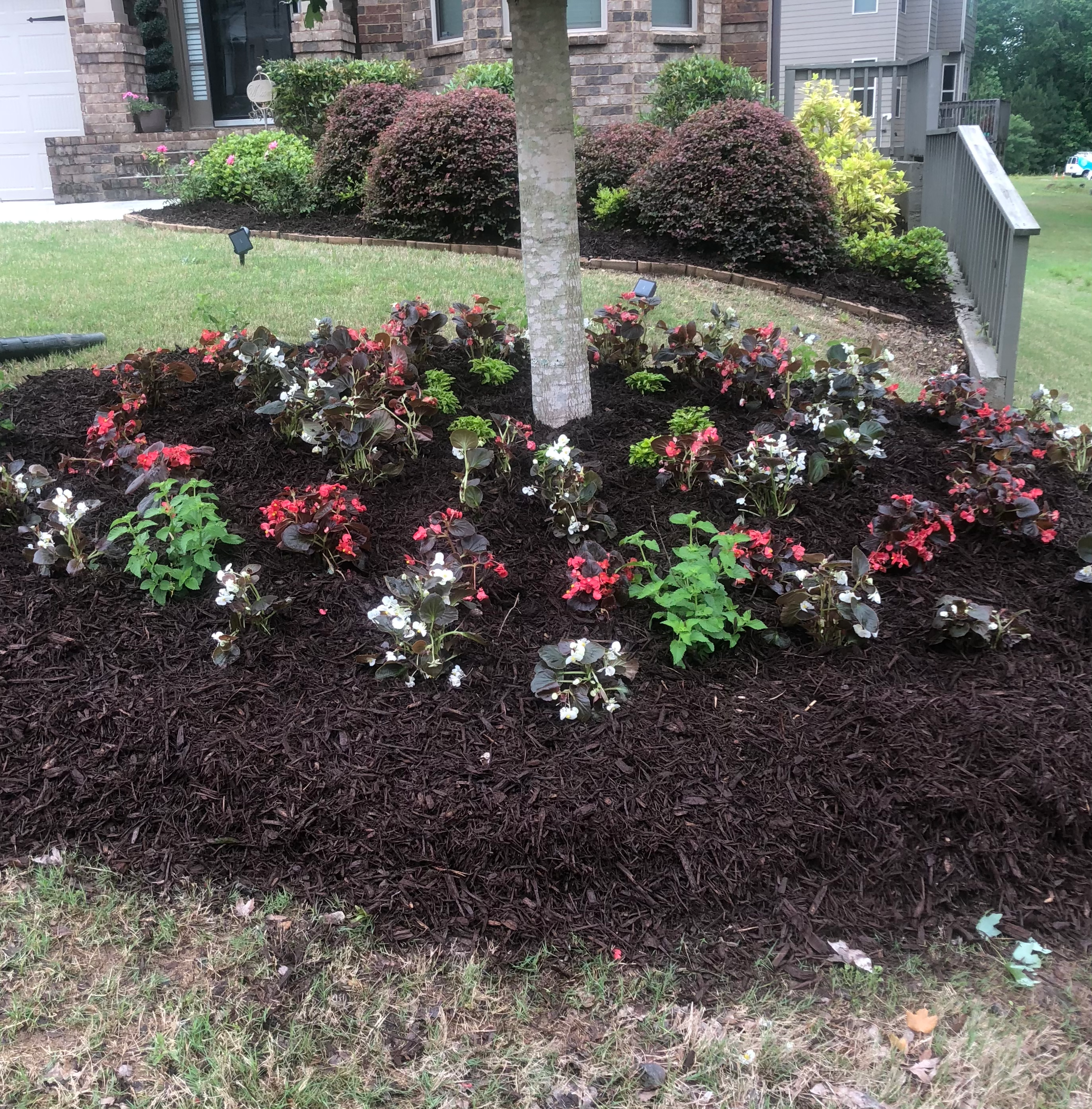 image of flowerbed