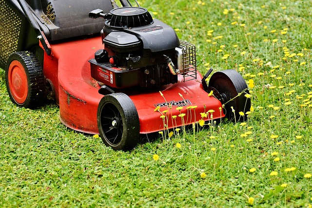 Lawn Mowing