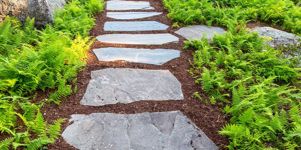 Path