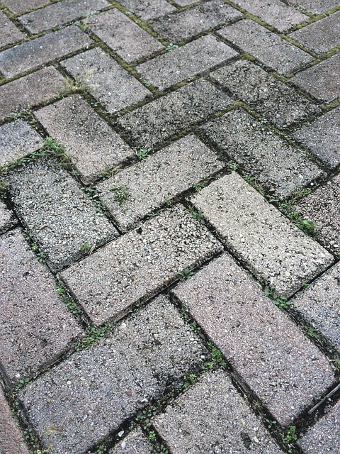 Paver Installation