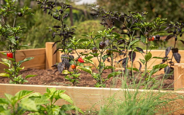Garden bed